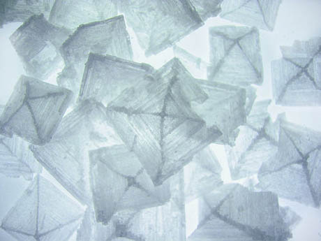 maldon sea salt crystals.jpg